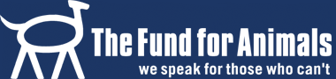 the fund for animals
