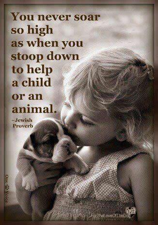 You never soar so high as when you stoop down to help a child or an animal